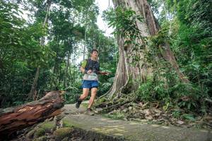 BIB: 
                            <button type="button" onclick="openModal(24809679)" class="btn btn-primary btn-sm float-right btn-popup" data-toggle="modal" data-target=".modal-high-quality">
                        <i class="fas fa-shopping-cart"></i> Add to Cart
                    </button>
                                            <button type="button" onclick="isThisMe(24809679, true)" class="btn btn-success btn-sm float-right btn-popup btn-isme hidden" data-toggle="tooltip" data-placement="bottom" title="นี่คือรูปของคุณใช่ไหม คลิกที่นี่เพื่อเอาเข้าอัลบั้ม">
                        <i class="fas fa-plus"></i> Add to album
                    </button>
                    <button type="button" onclick="isThisMe(24809679, false)" class="btn btn-warning btn-sm float-right btn-popup btn-isnotme hidden">
                        <i class="fas fa-ban"></i> Remove from album
                    </button>